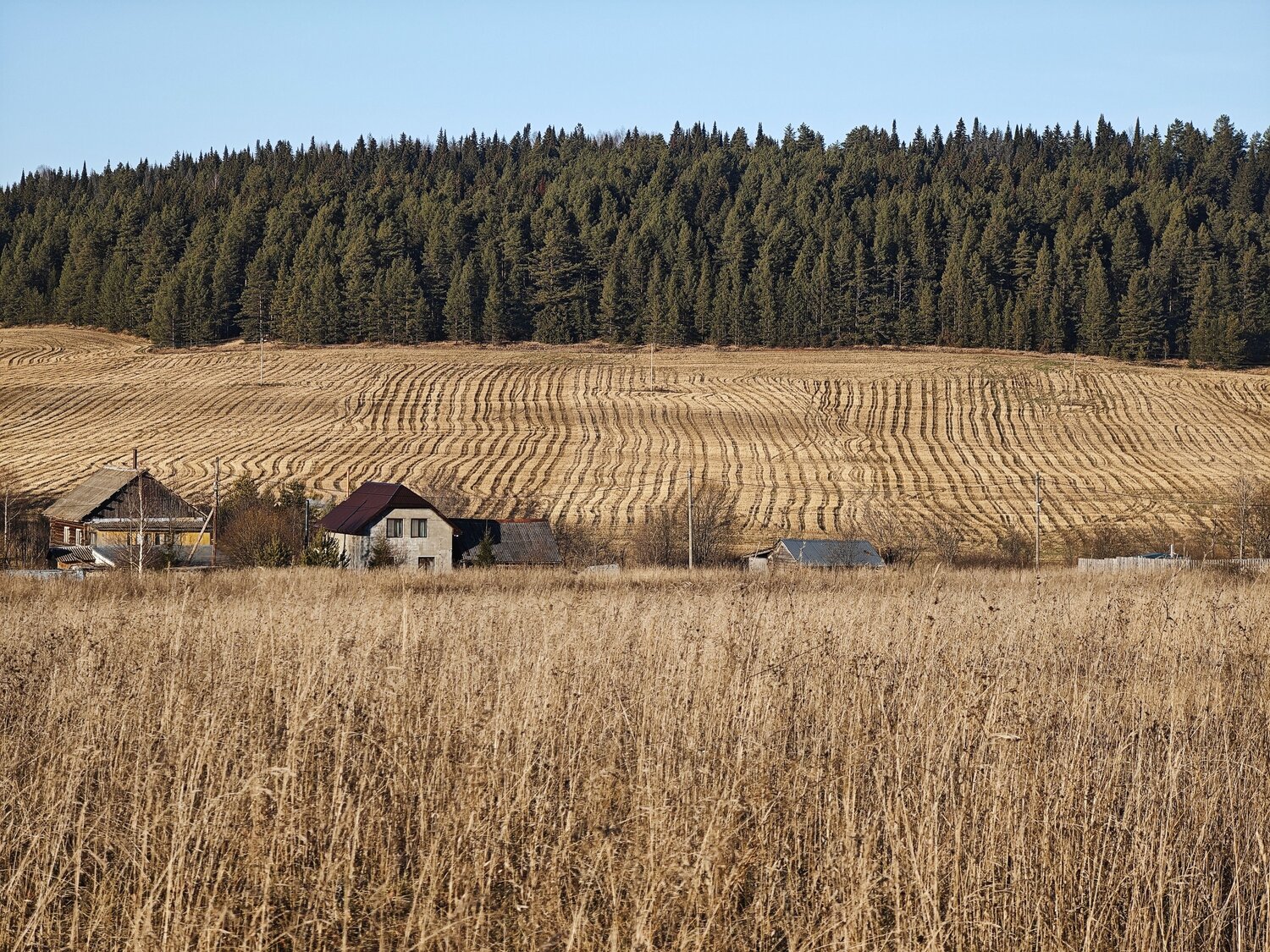 Photo #13790066