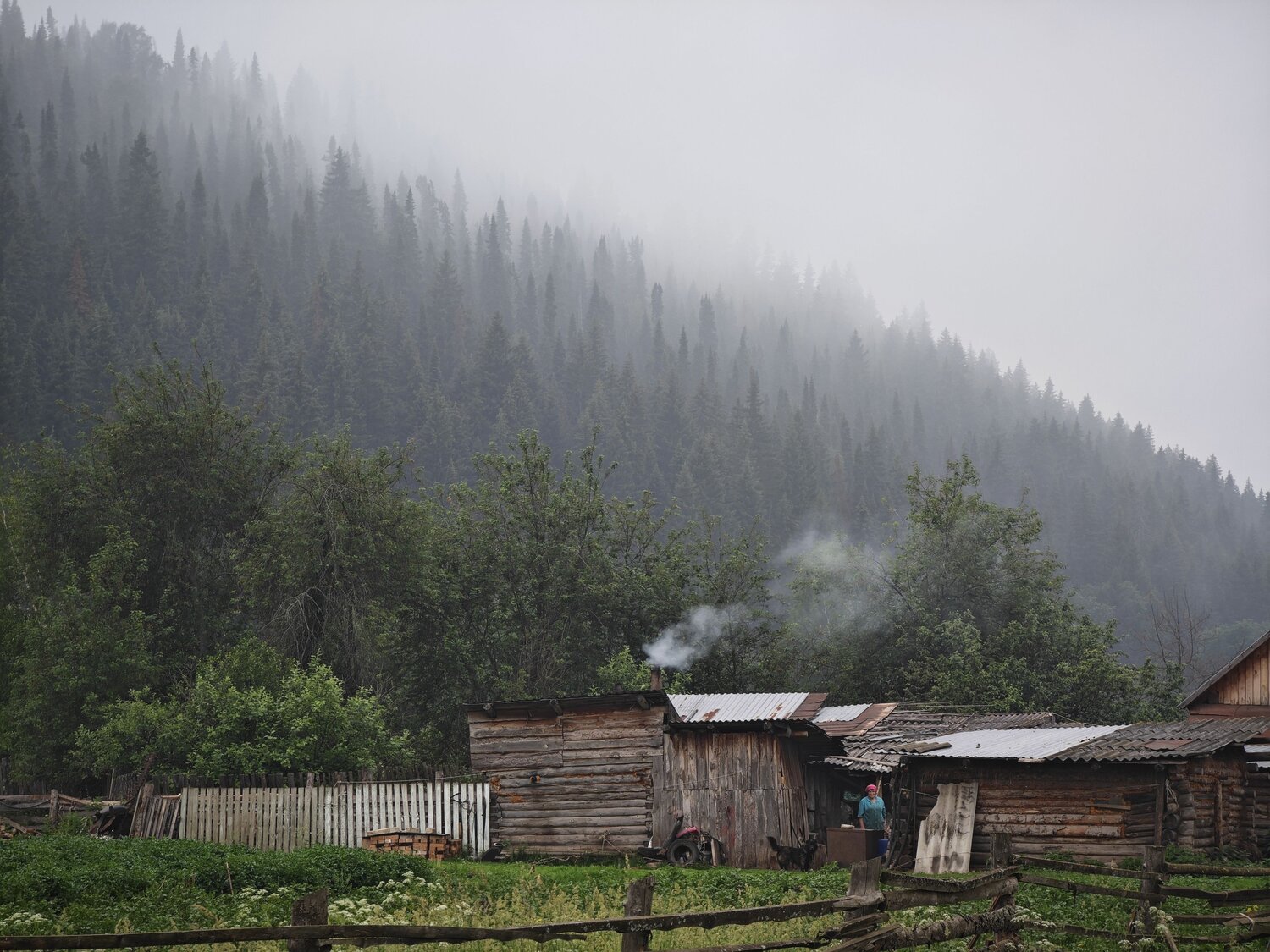 Photo #13790067