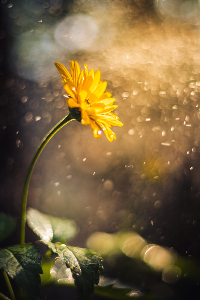 Photograph by Николай Захаров