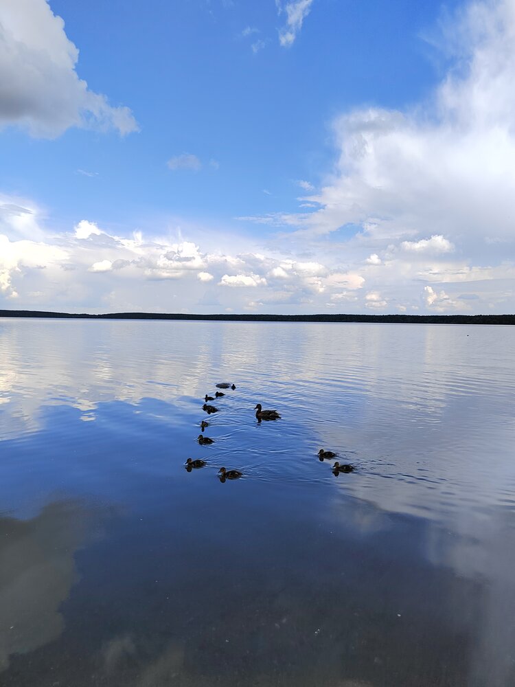 Photograph by Ольга Дружинина
