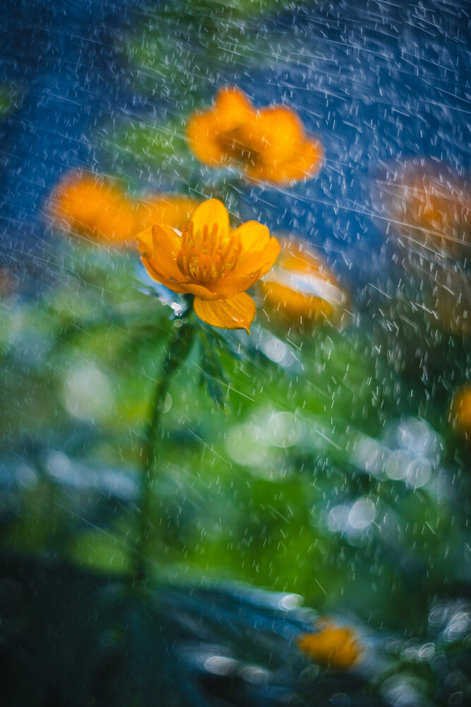 Photograph by Николай Захаров