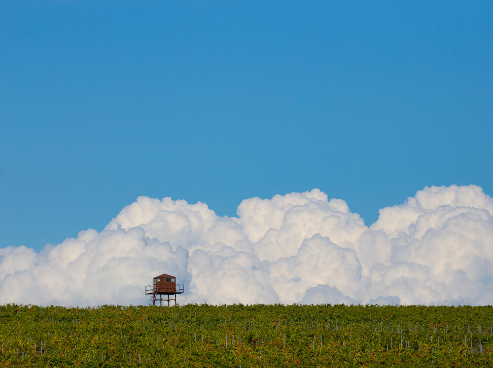 Photograph by Николай Абрамов