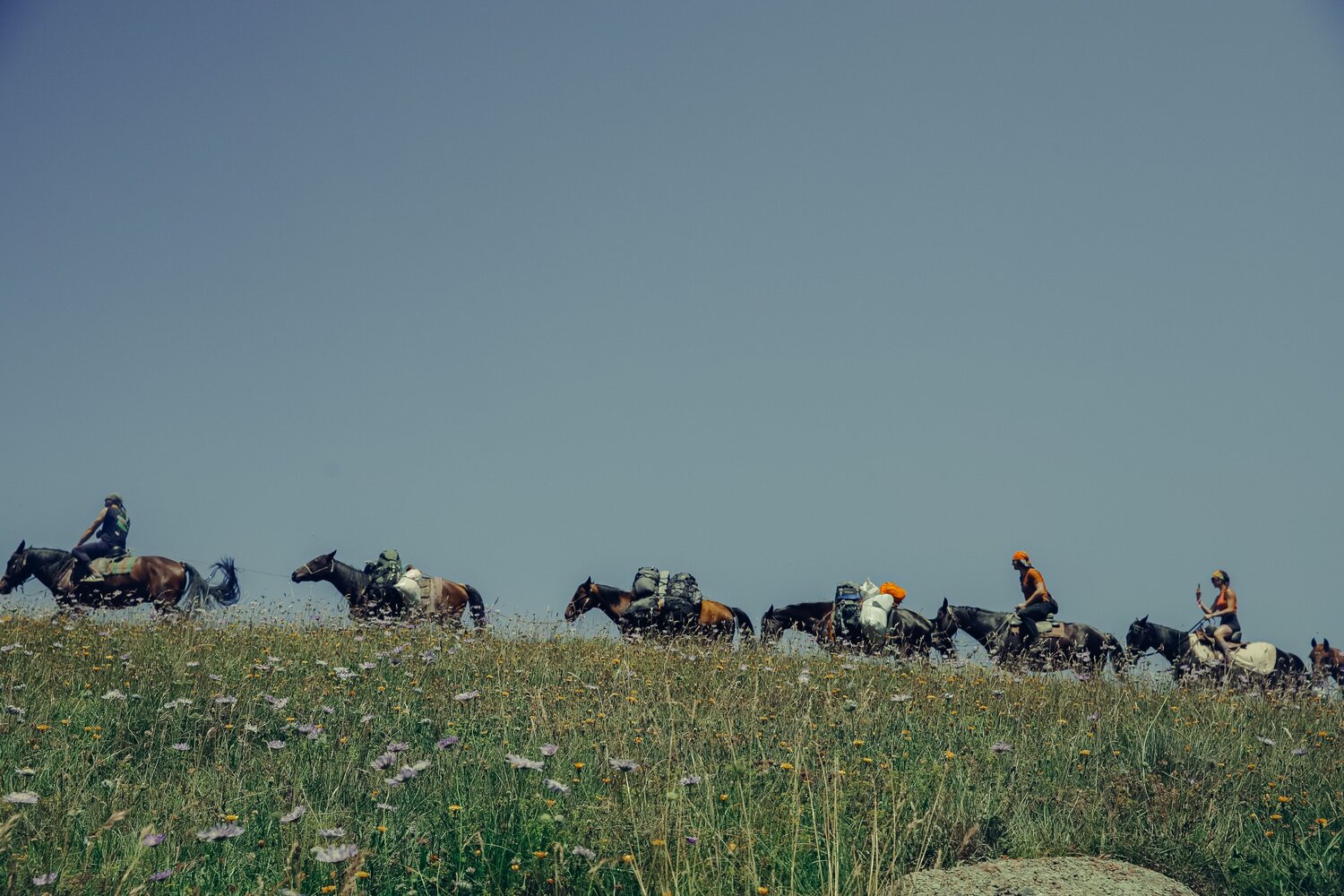 Photo #13790262