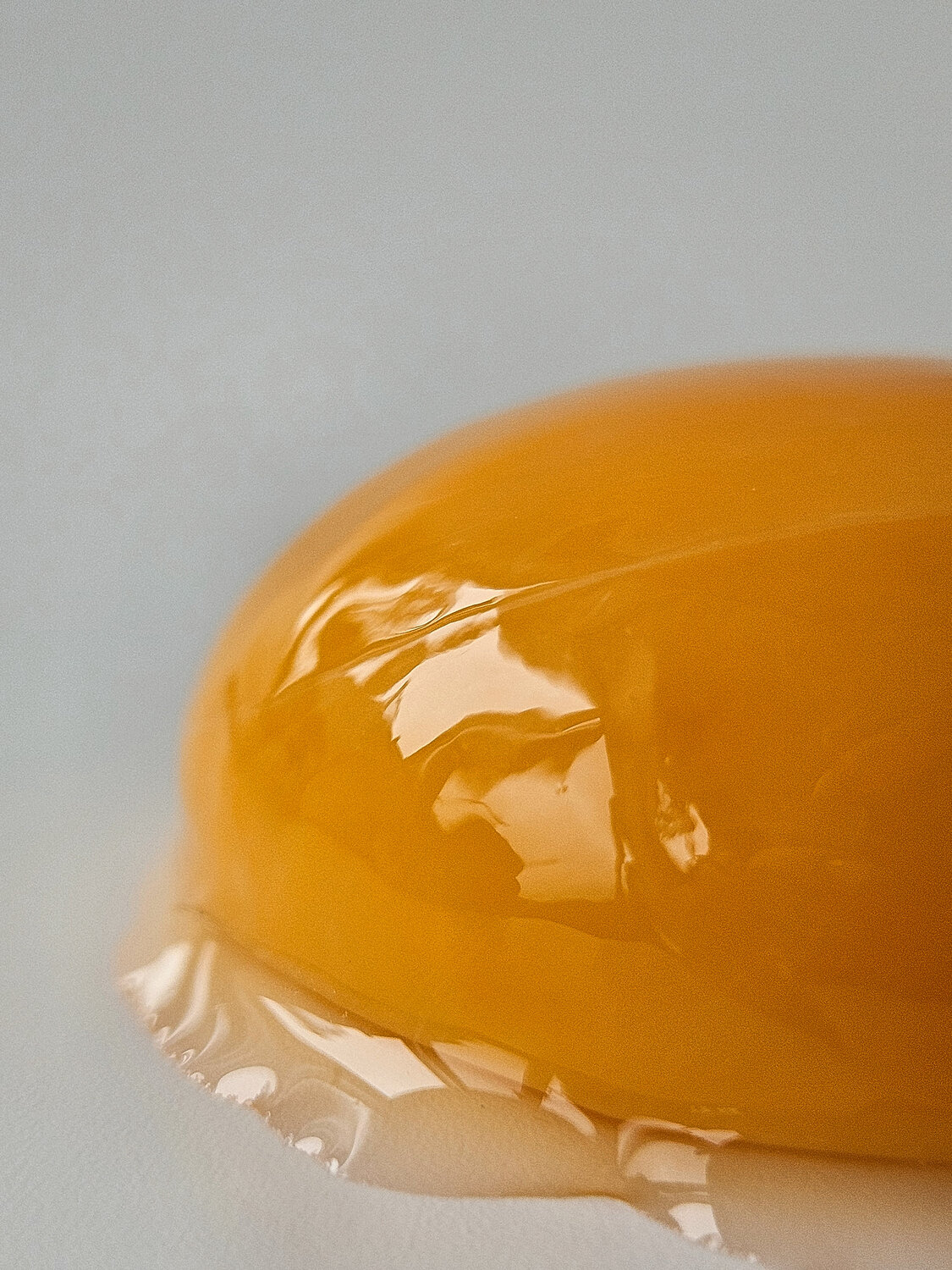 Photo #13790264