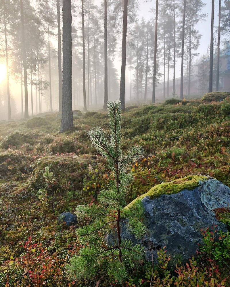 Photo #13790273