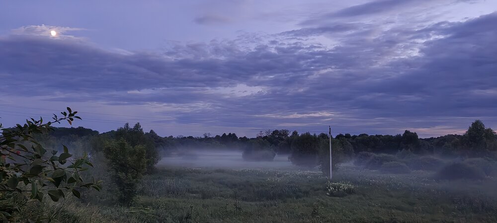 Photograph by Наталья Щигарёва