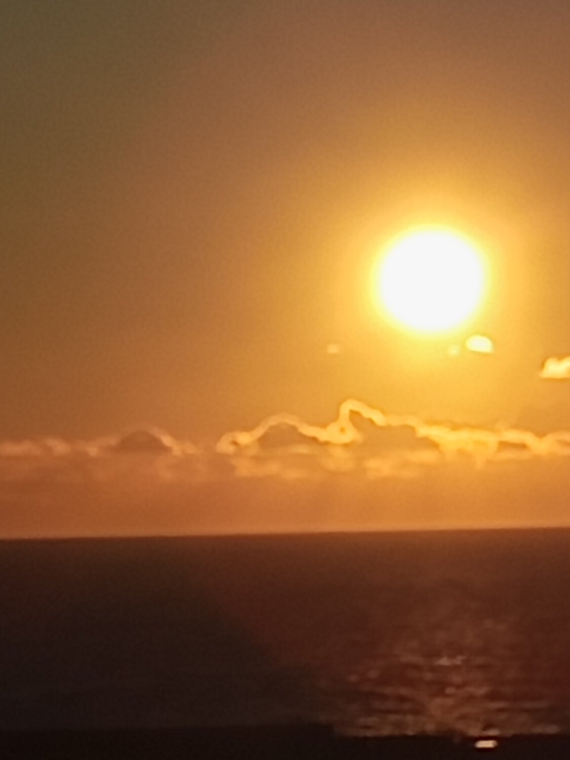 Photo #13790330