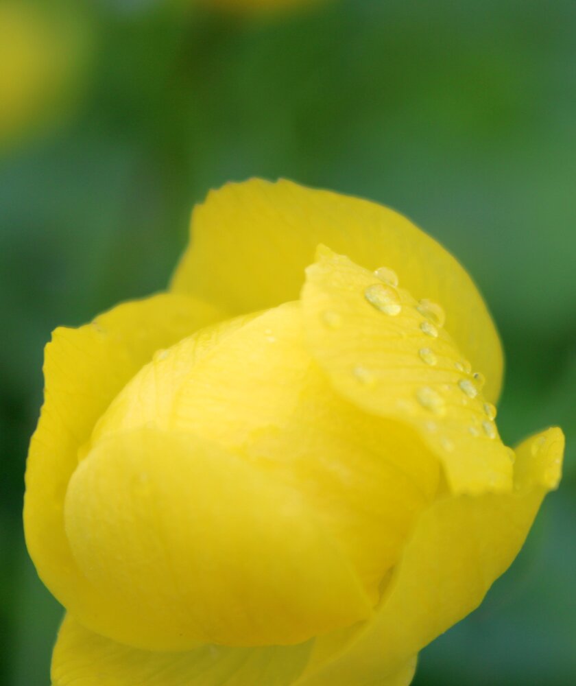 Photograph by Olga Bagaeva