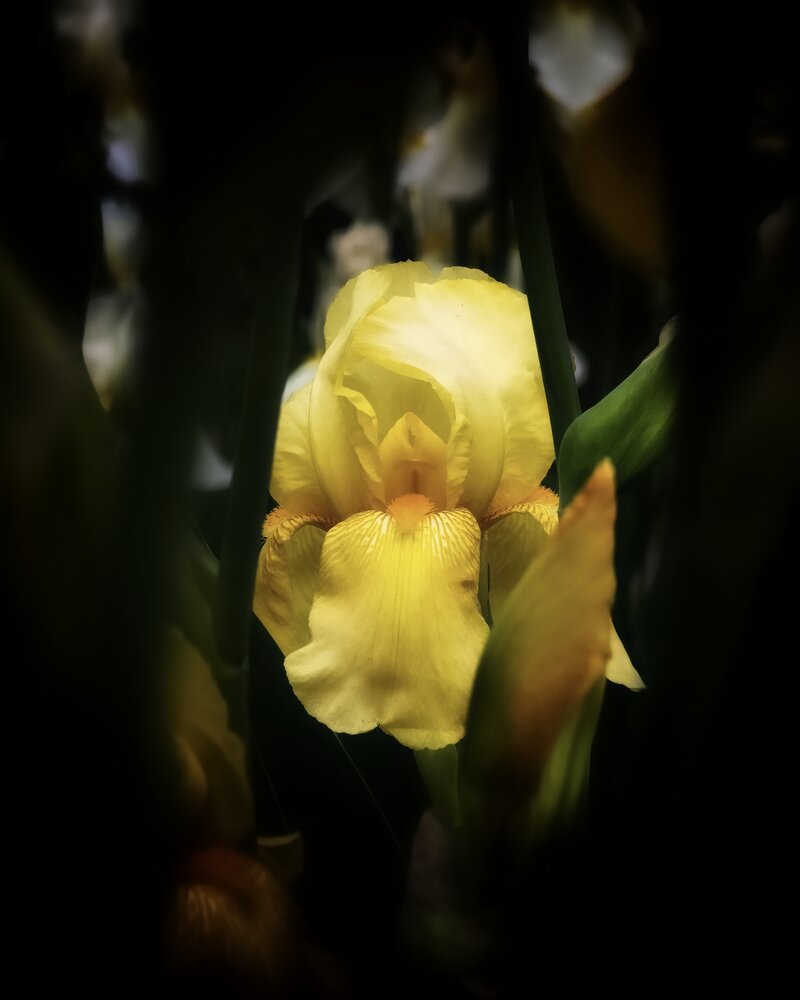 Photograph by Владимир Ли