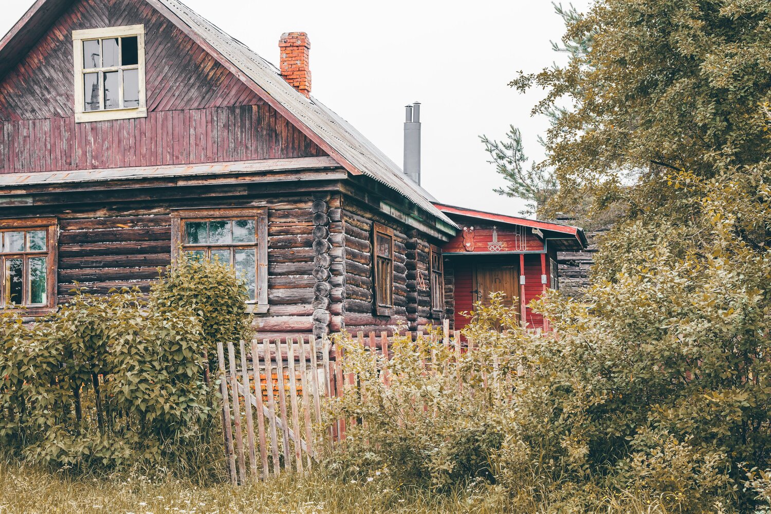 Photo #13790372