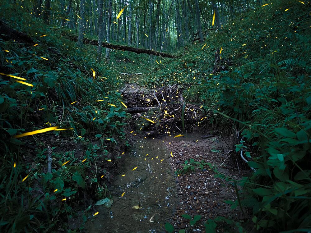 Photograph by Aндрей Иванов