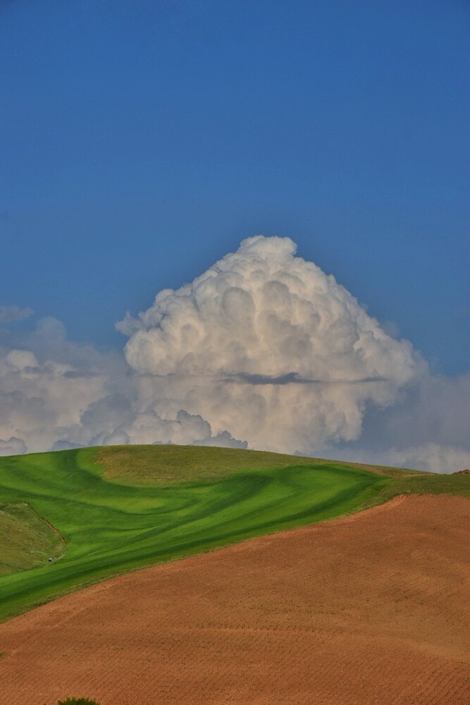 Photograph by Ehsan Fathi