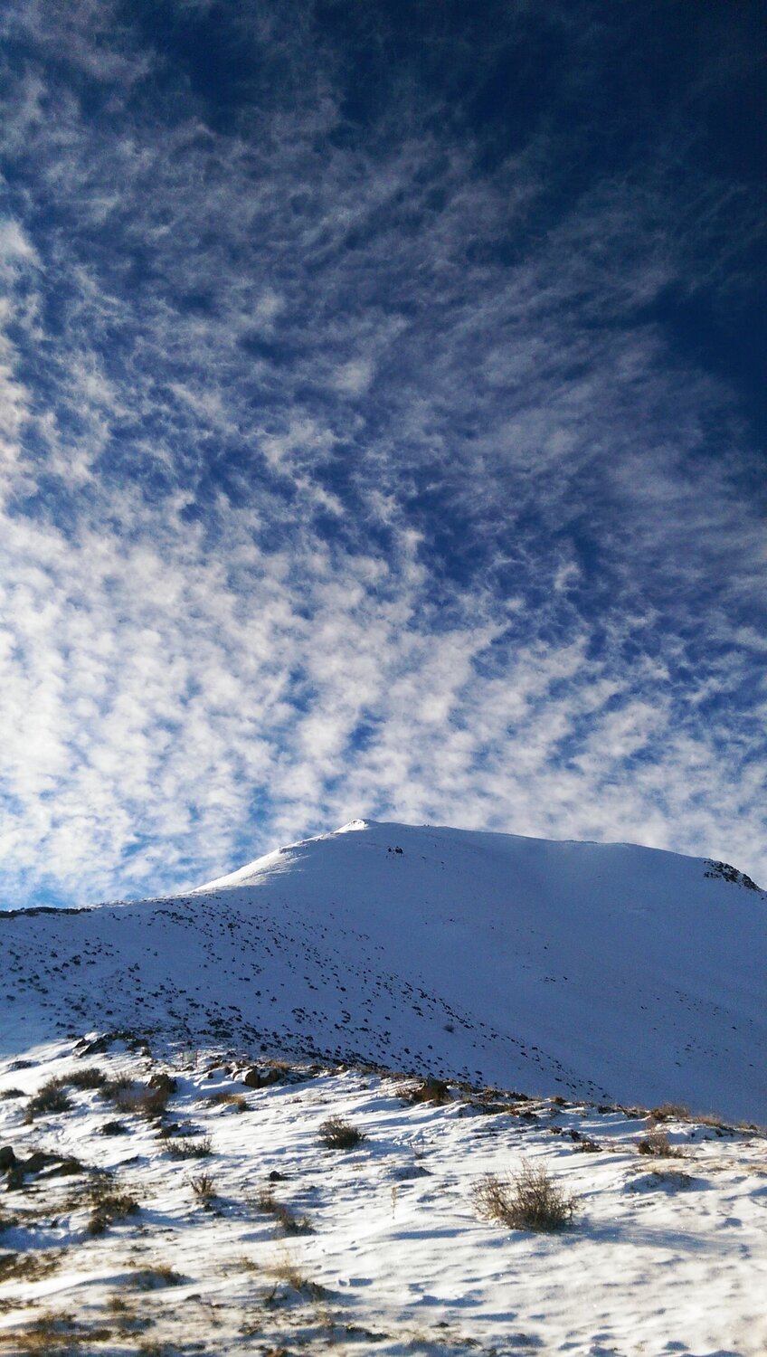 Photo #13790410