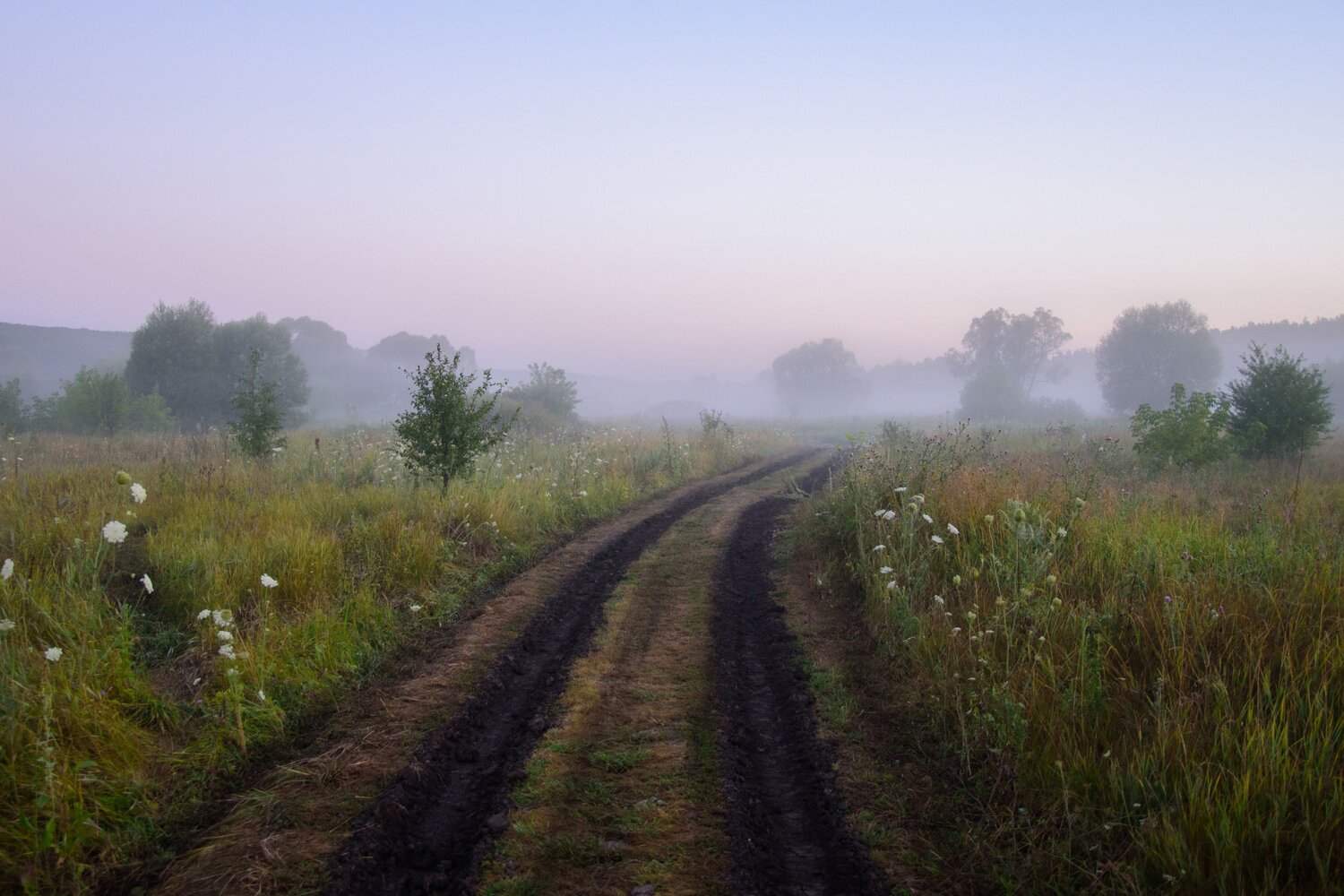 Photo #13790459