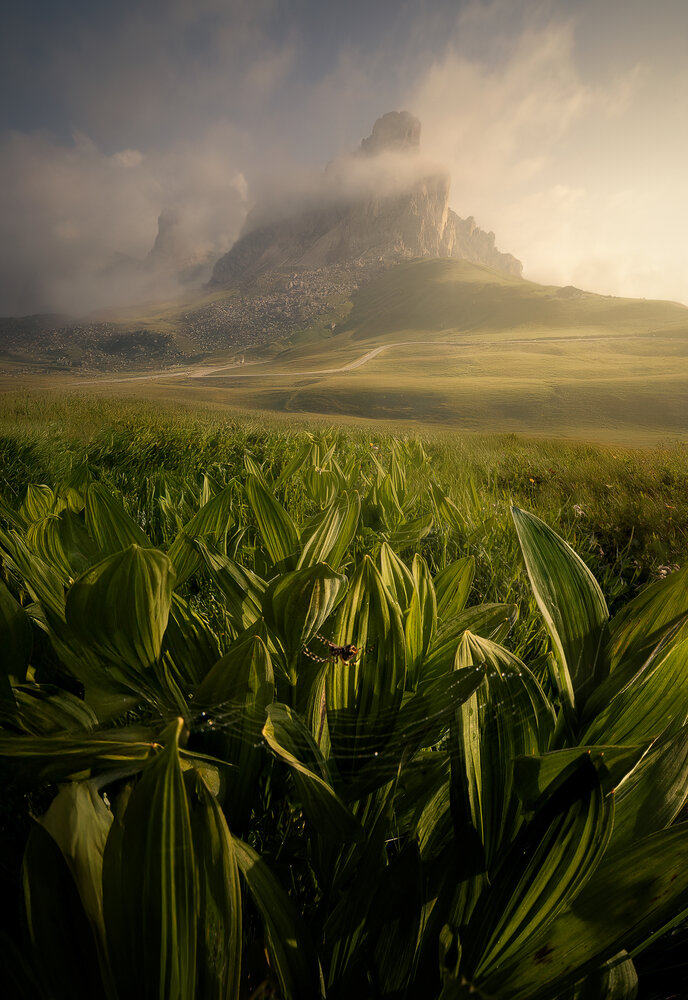 Photograph by nando schiraldi