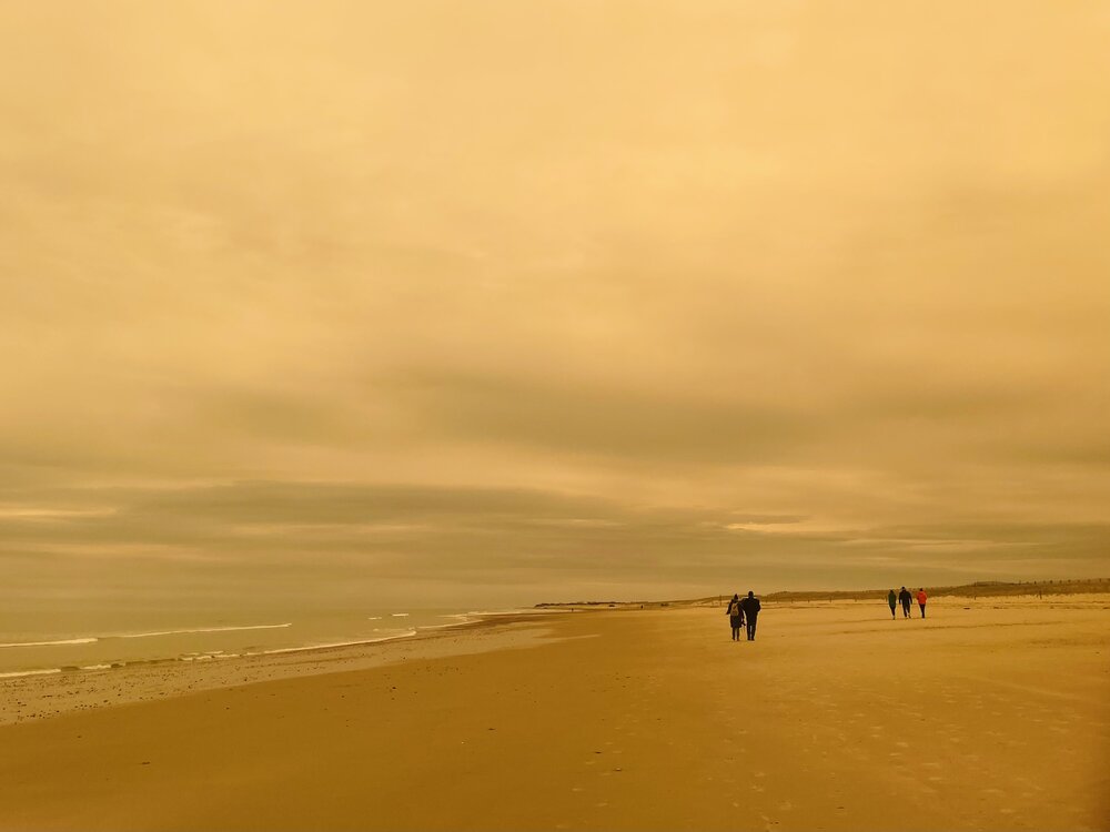 Photograph by Olga Andriuc