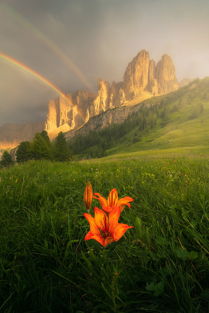 Photograph by nando schiraldi
