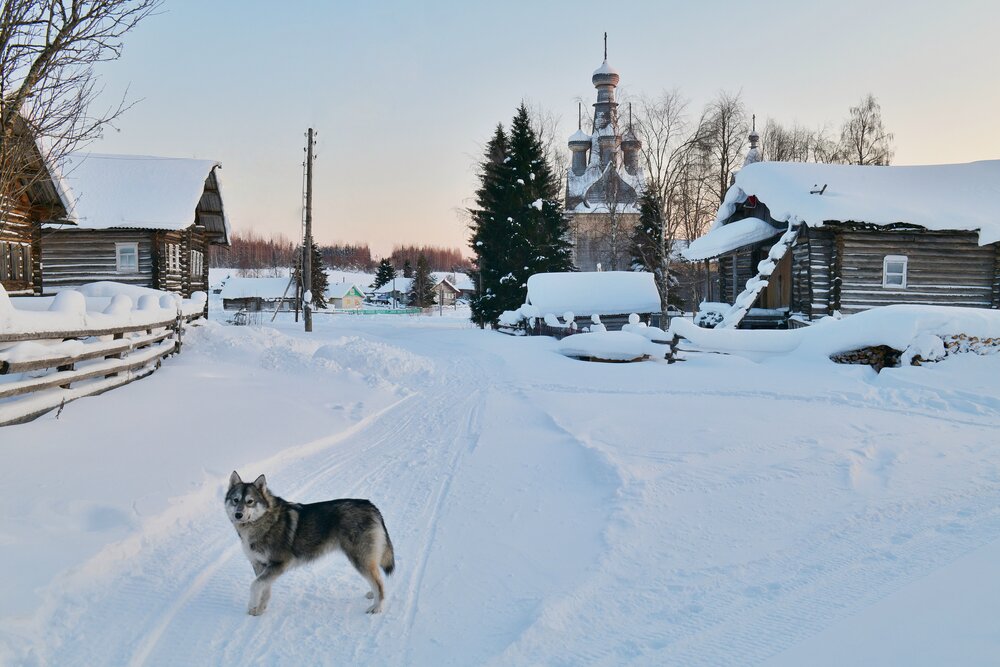 Photograph by Margareth Tikhonova