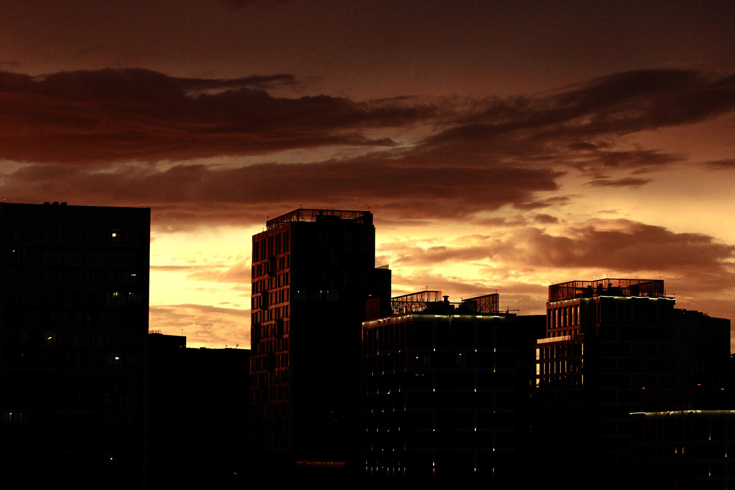Photo #13790558