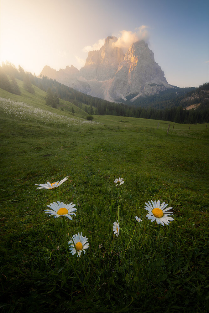 Photograph by nando schiraldi