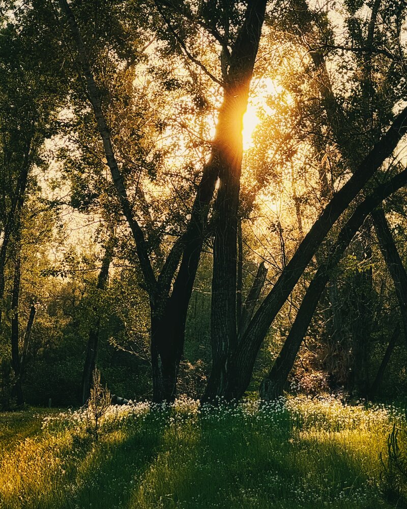 Photograph by Юлия Чернышёва