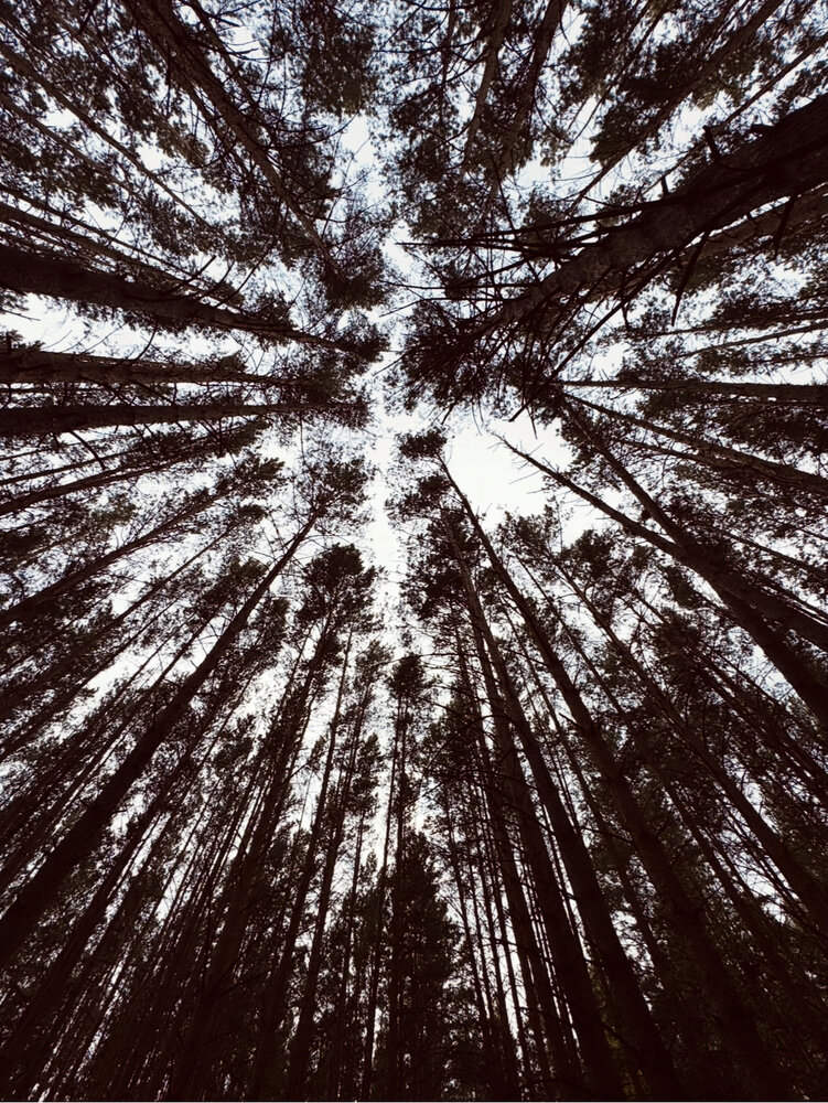 Photograph by Юлия Чернышёва