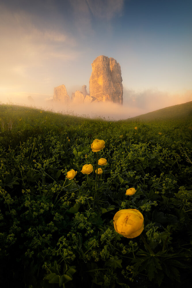Photograph by nando schiraldi