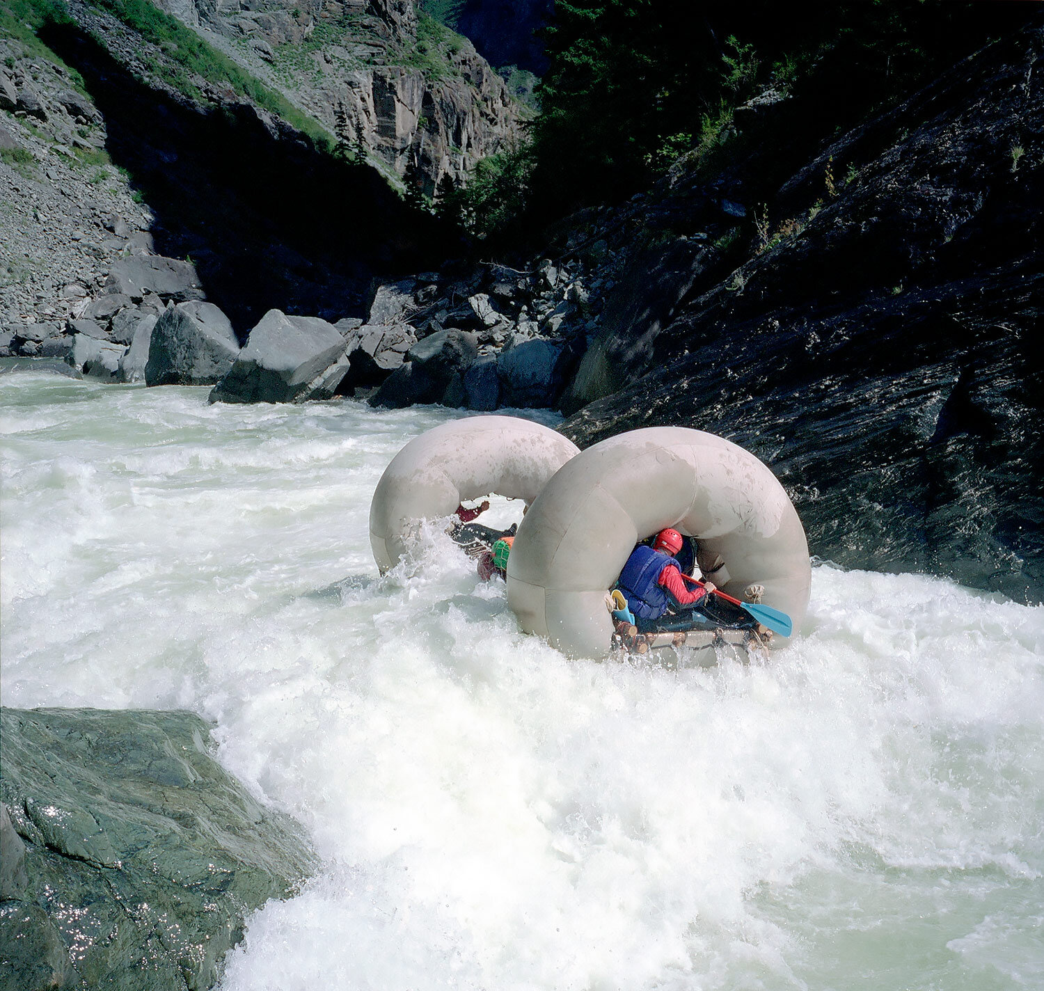 Photo #13790632