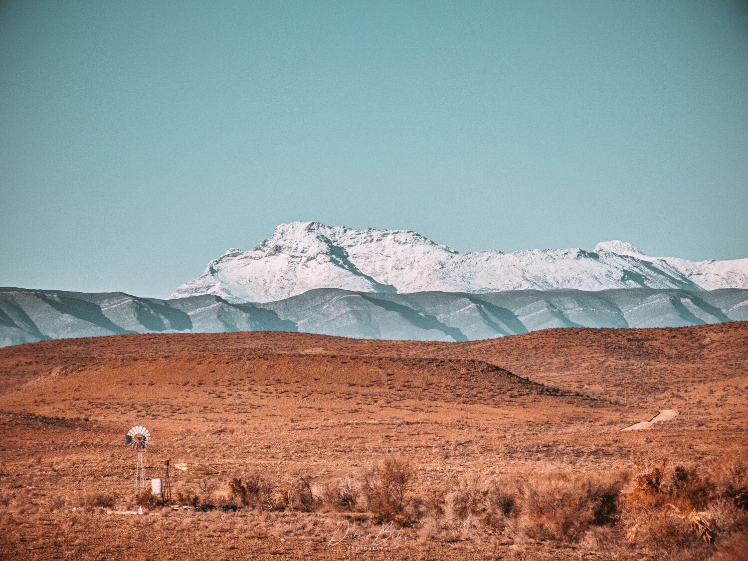 Desert Meets Frost
