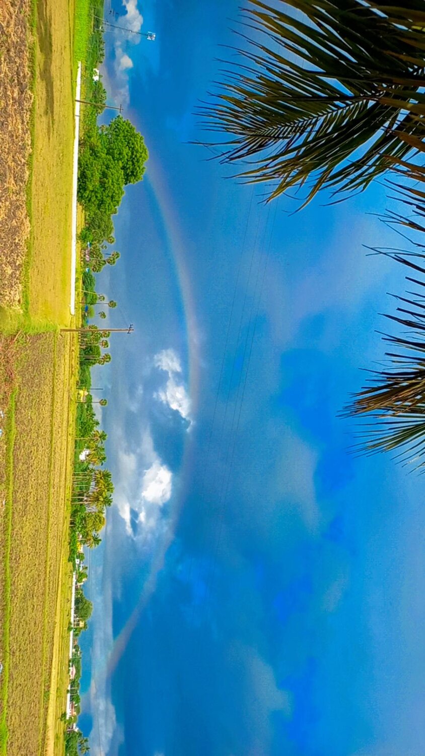 Photo #13790758