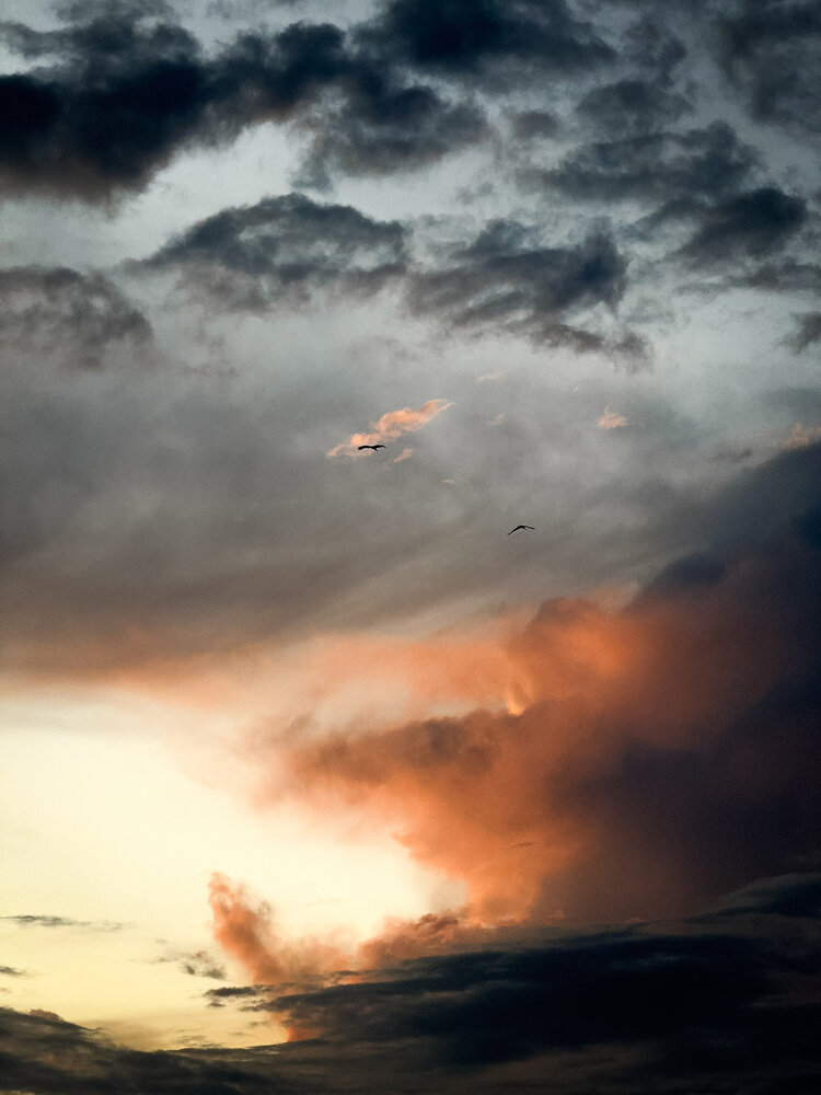 Photograph by Софья Гелевера