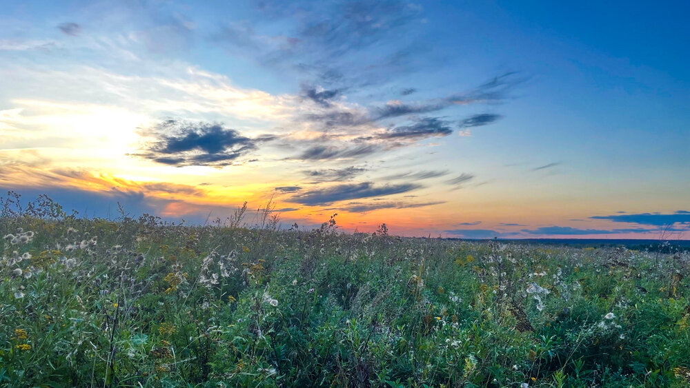 Photograph by Даша Анохина