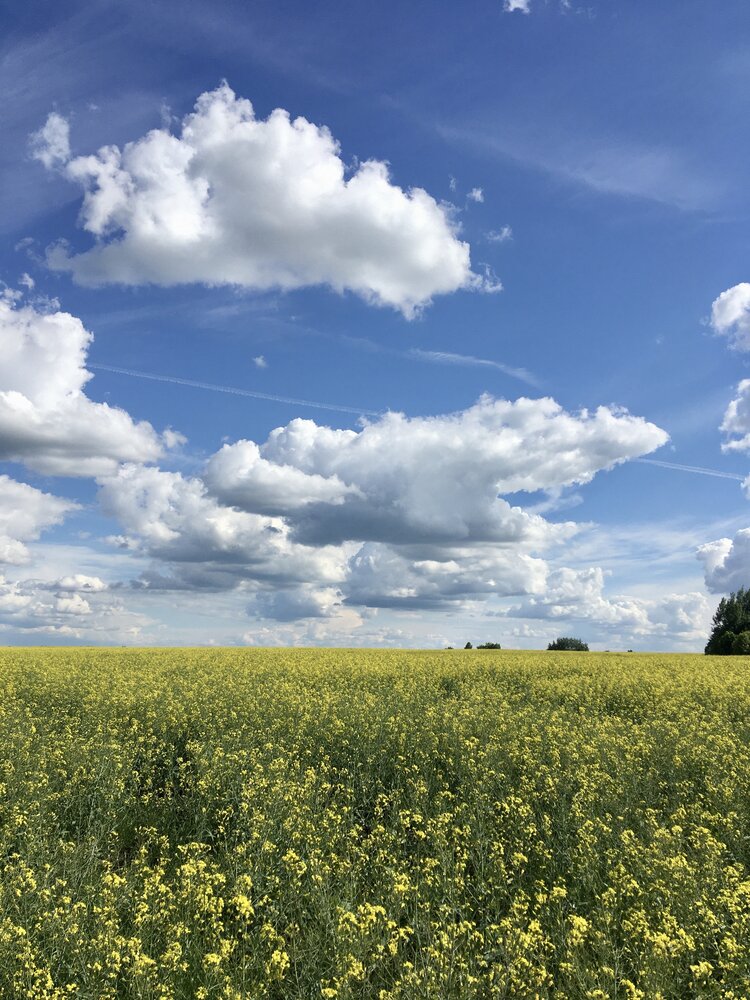 Фотография автора Нина Фролова