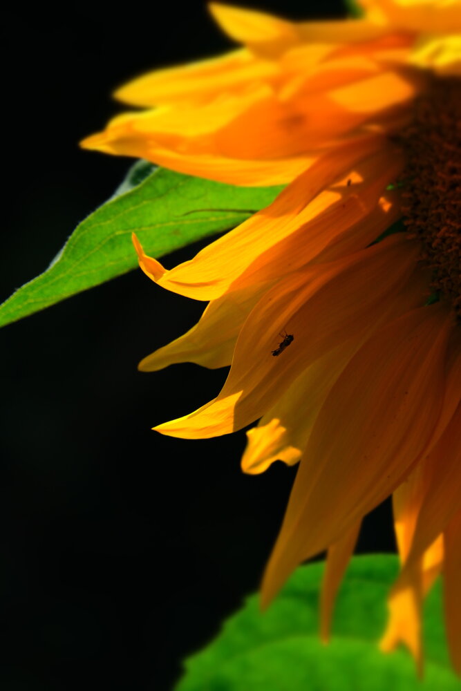 Photograph by Яна Истоцкая