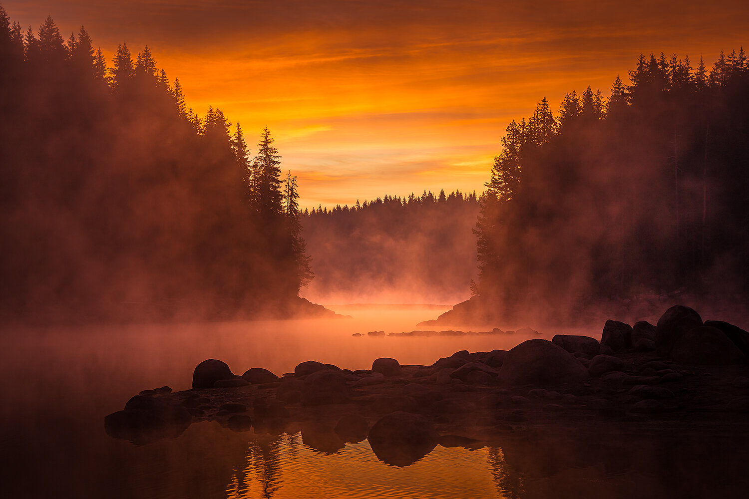 Photo #13790866