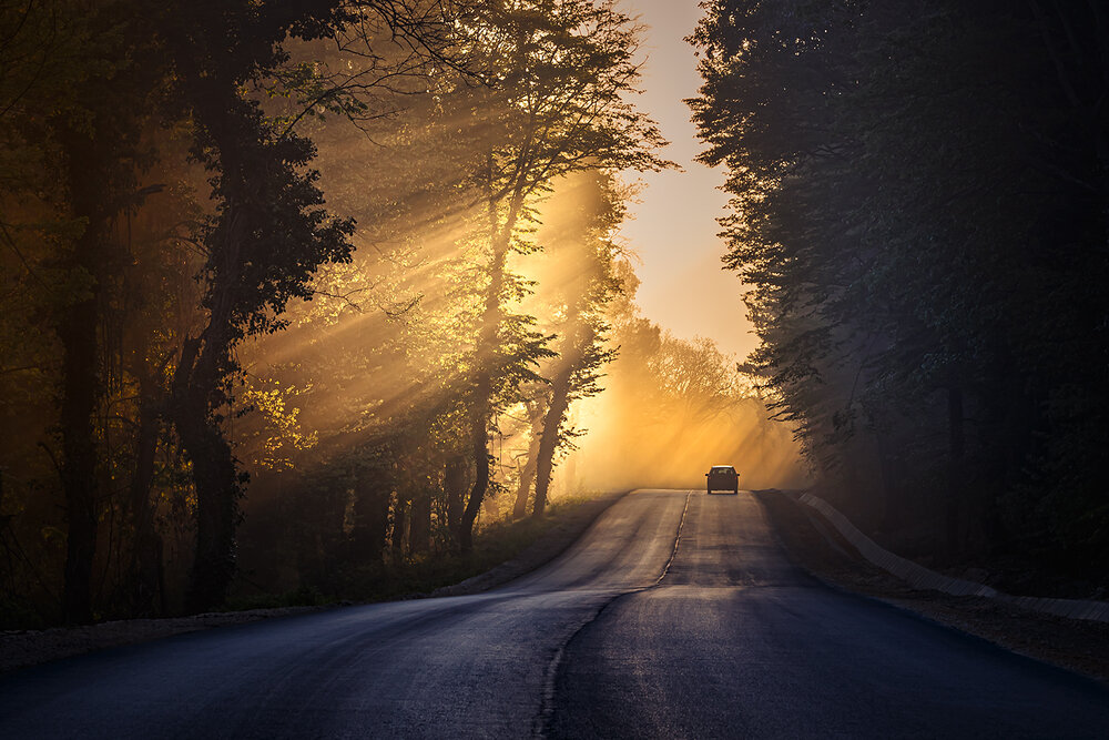 Photograph by Kostov Borislav