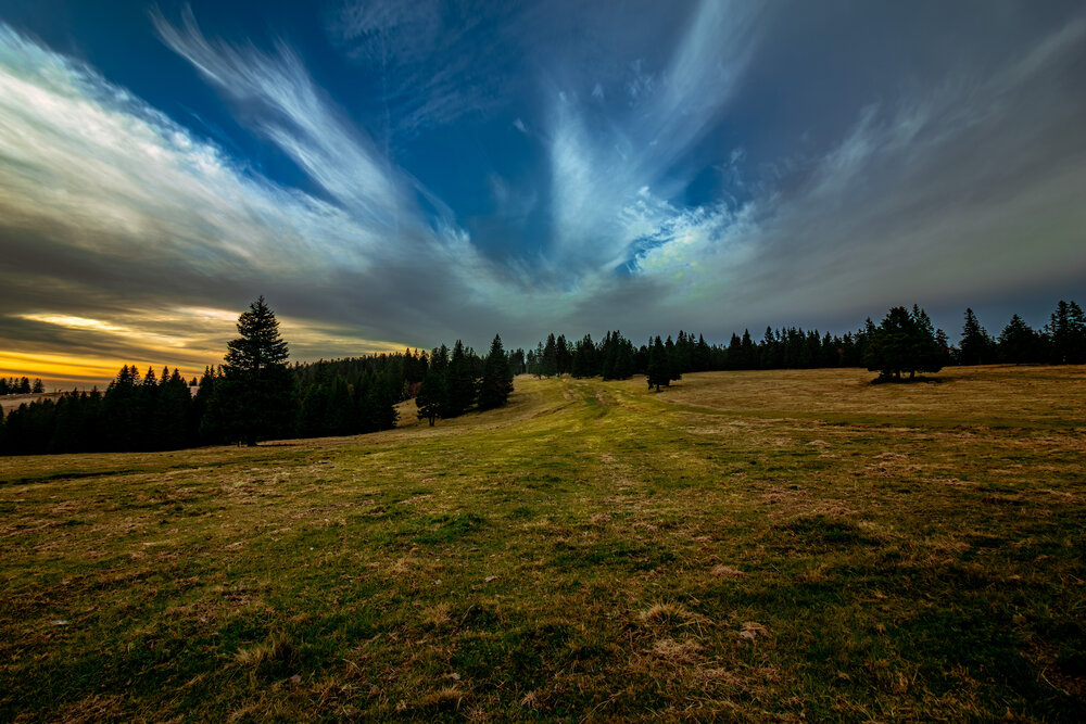Photograph by Gregor Kobilica