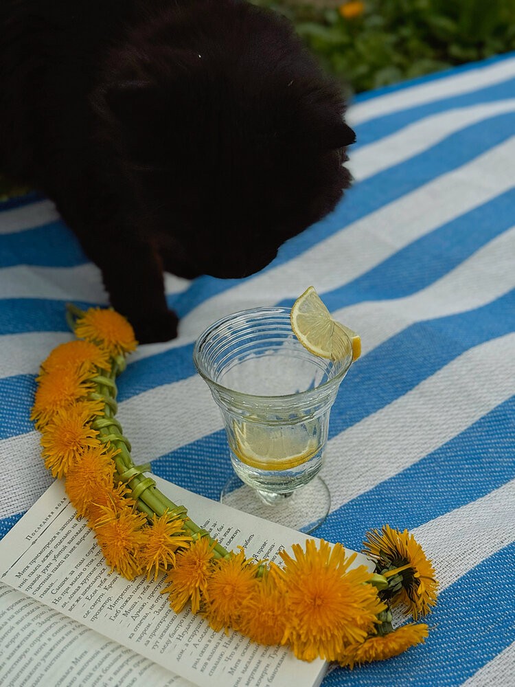 Photograph by Pavlova Maria