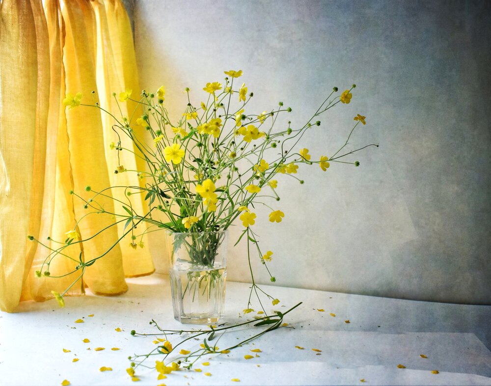 Photograph by Антонина Шабышева