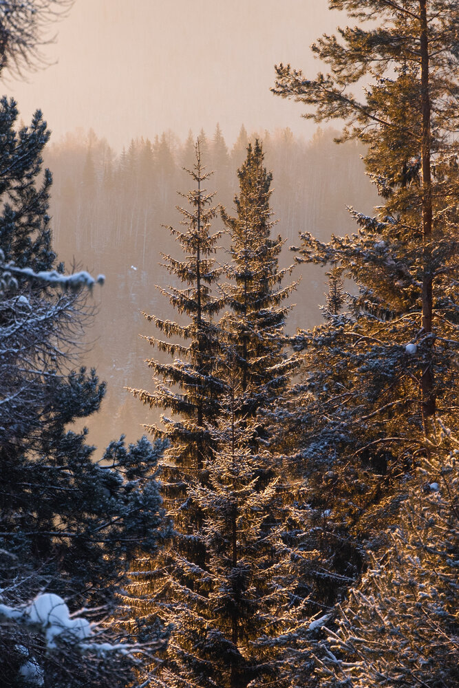 Photograph by Наталия Сметнёва