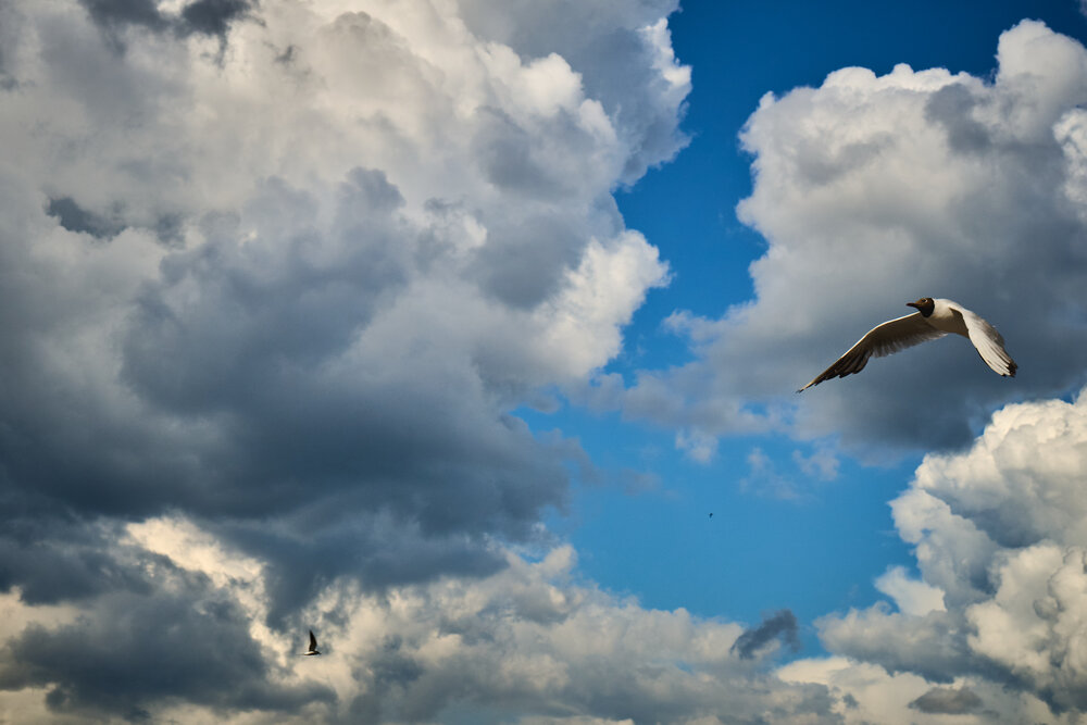 Photograph by Андрей Каёкин
