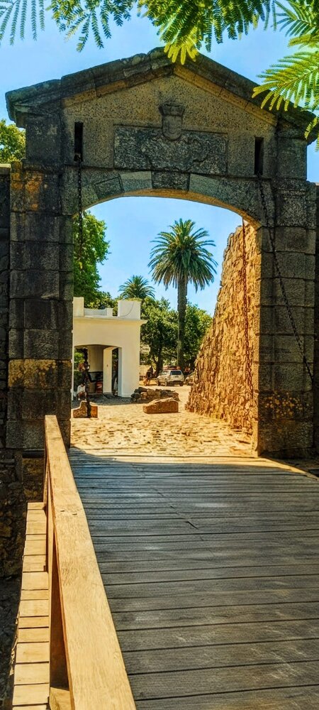 Photograph by Otavio Nardi