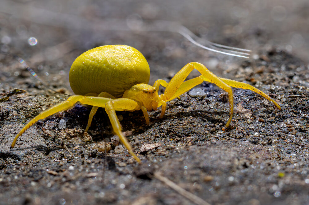 Photograph by Сергей Назаредский