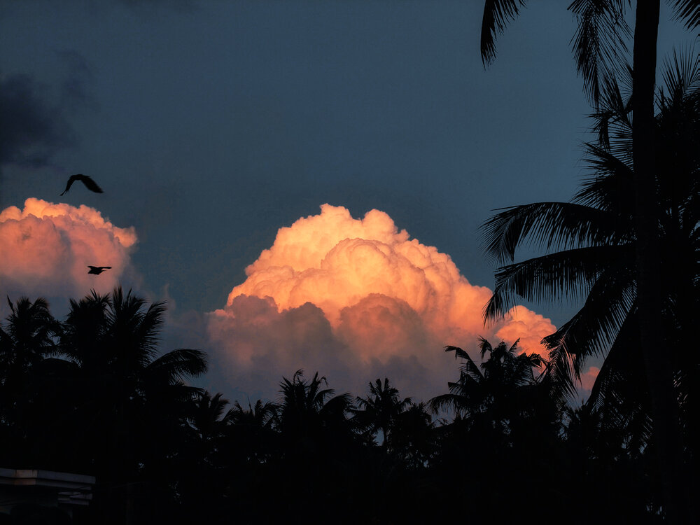 Photograph by Athul Krishna T. R.