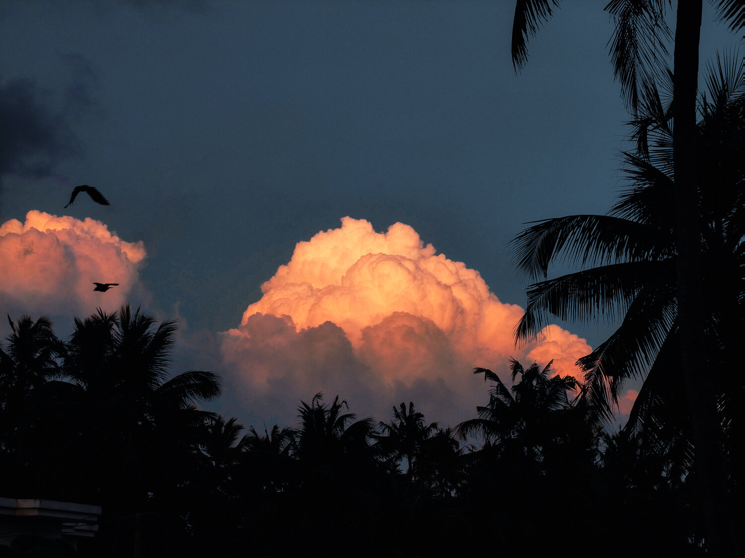 Photo #13791085