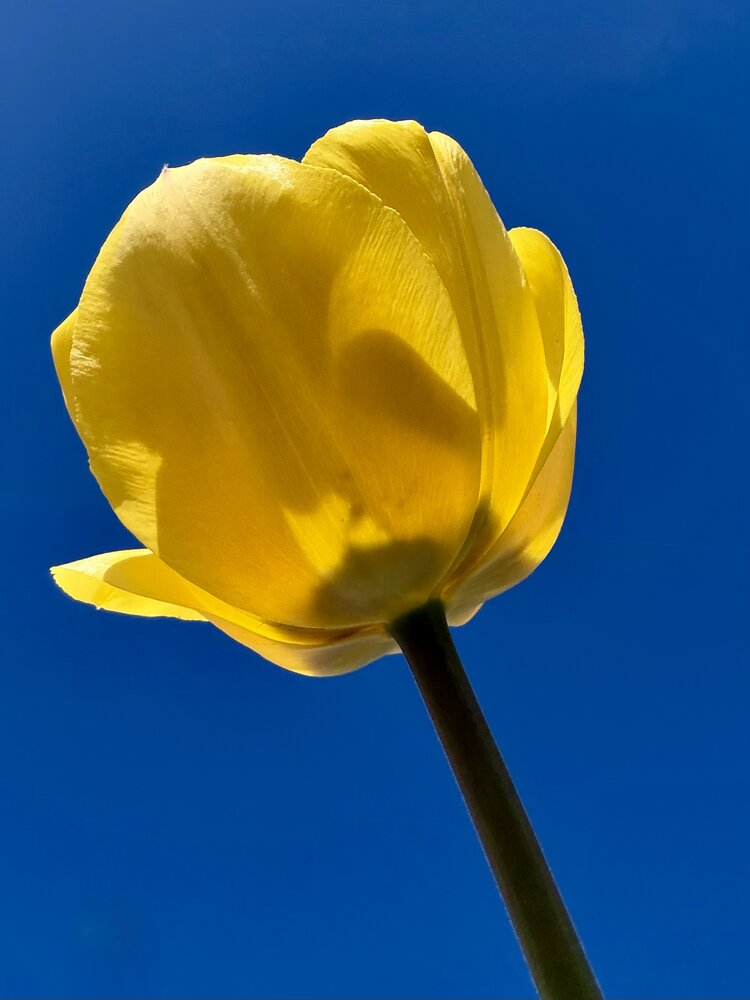Photograph by Галина Шиманцова