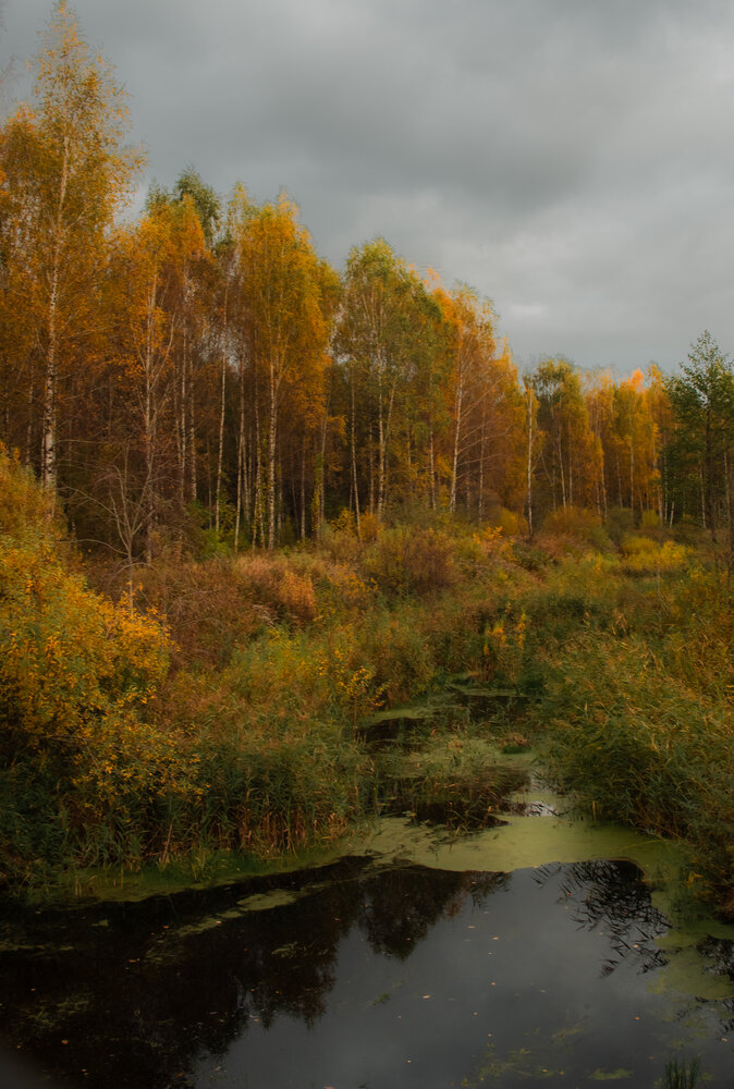 Фотография автора Aлексей Игнатьев