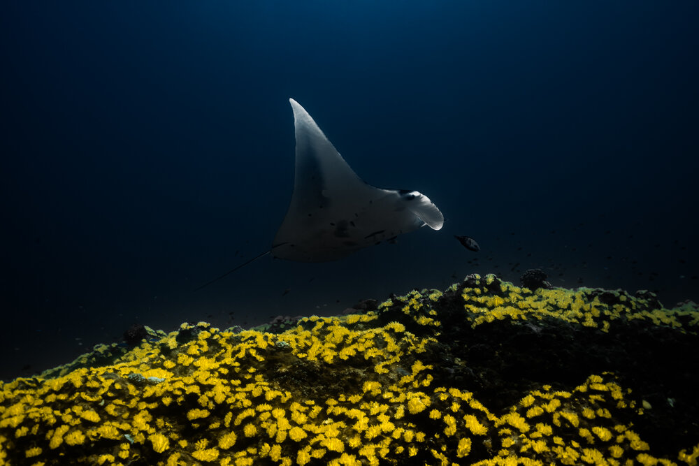 Photograph by nishijima takayuki