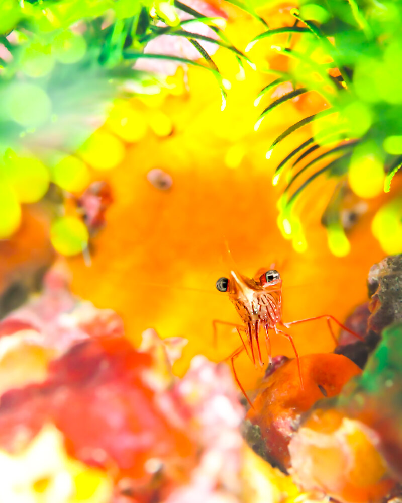 Photograph by nishijima takayuki