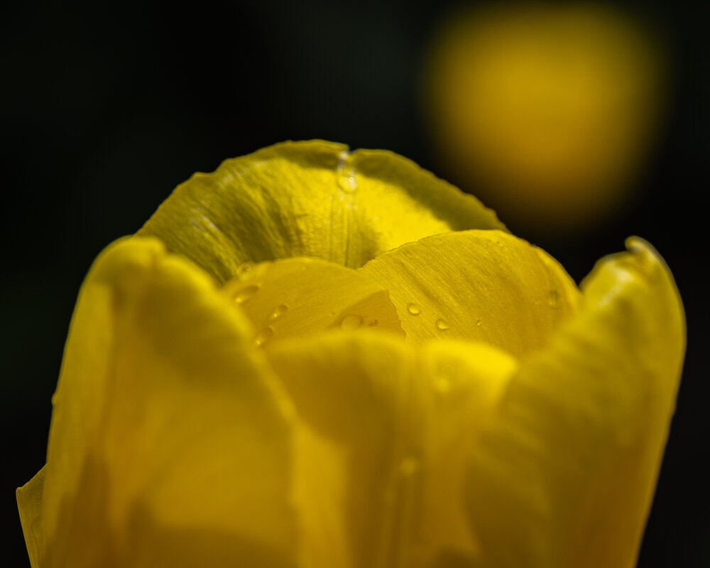 Photograph by Александр Бабаков